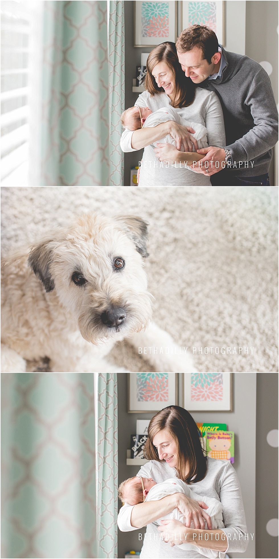 washington dc lifestyle newborn photographer | bethadilly photography